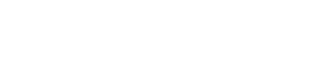 Le lion bar